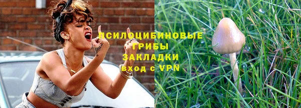 ГАЛЛЮЦИНОГЕННЫЕ ГРИБЫ Богородицк