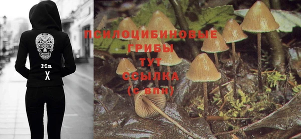 синтетический гашиш Богданович