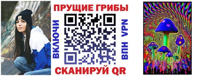 Галлюциногенные грибы Cubensis  как найти наркотики  Старица 